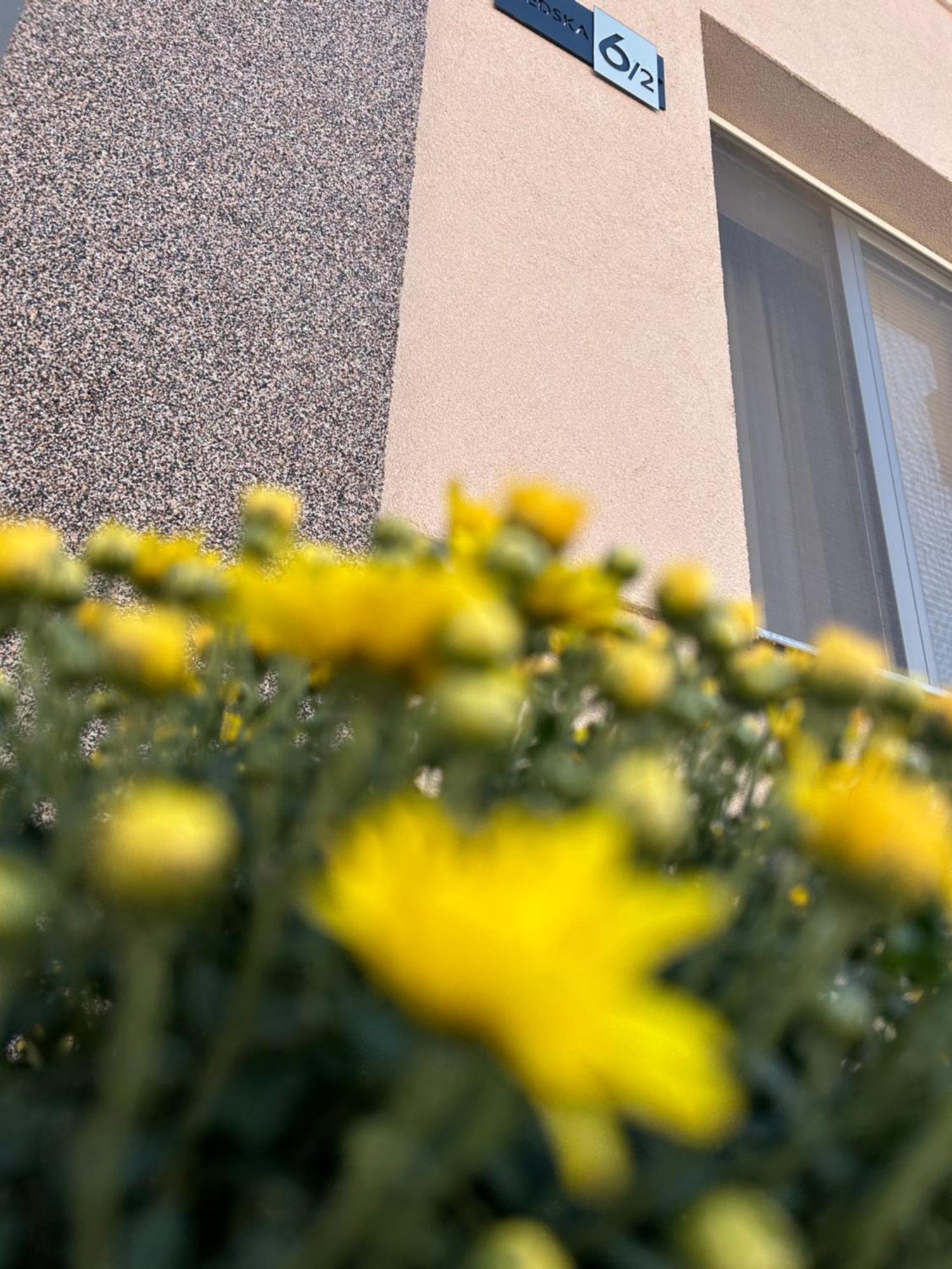 Apartman Teodora Subotica Exterior foto